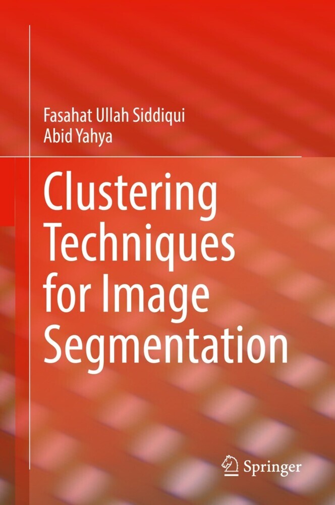 Clustering Techniques for Image Segmentation main product photo