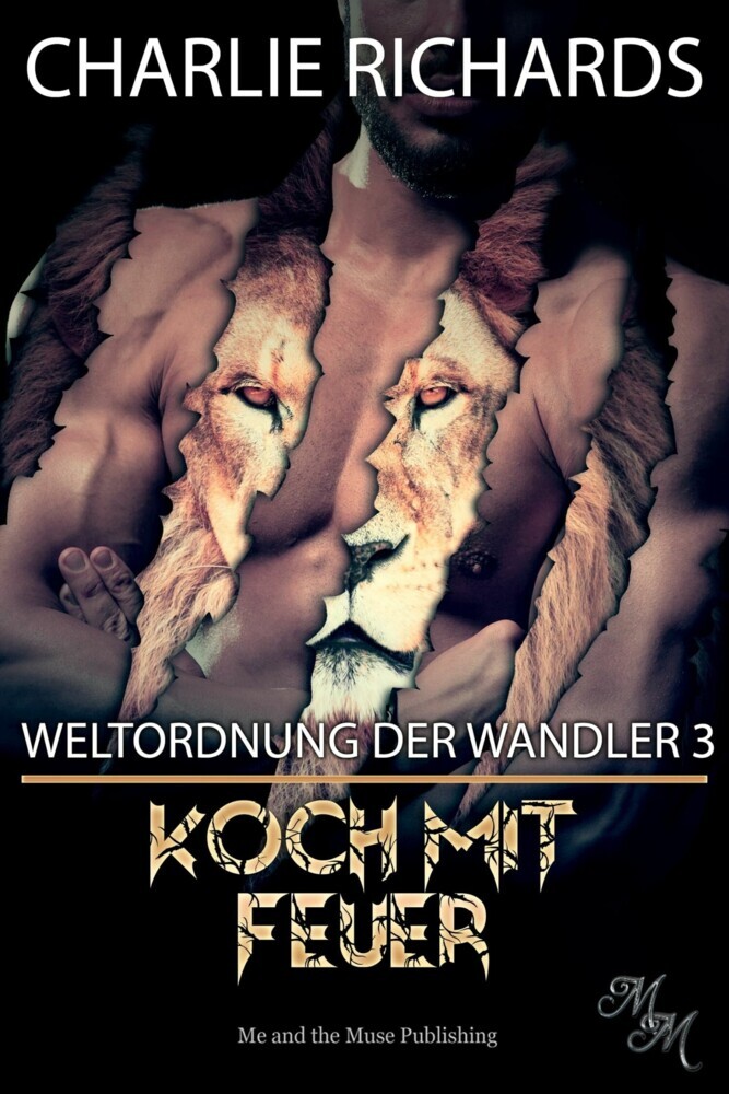 Koch mit Feuer main product photo