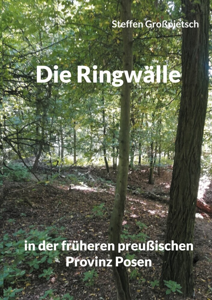 Die Ringwälle main product photo