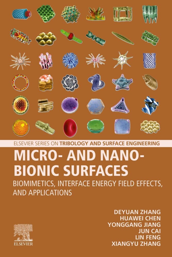 Micro- and Nano-Bionic Surfaces main product photo