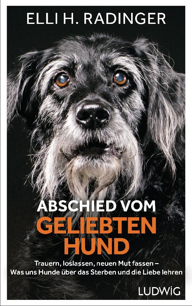 Abschied vom geliebten Hund main product photo