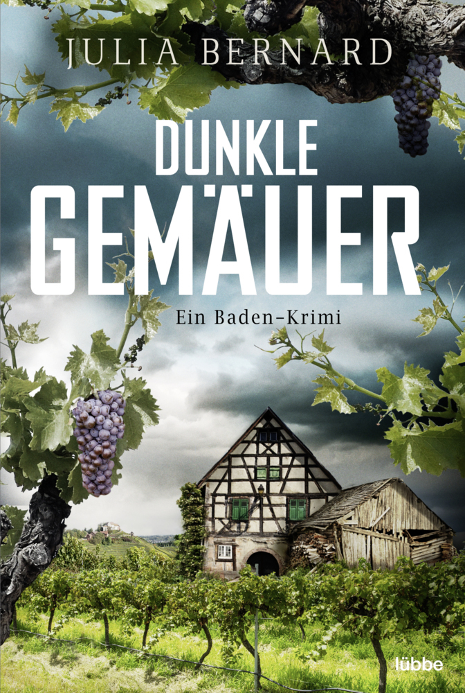 Dunkle Gemäuer main product photo