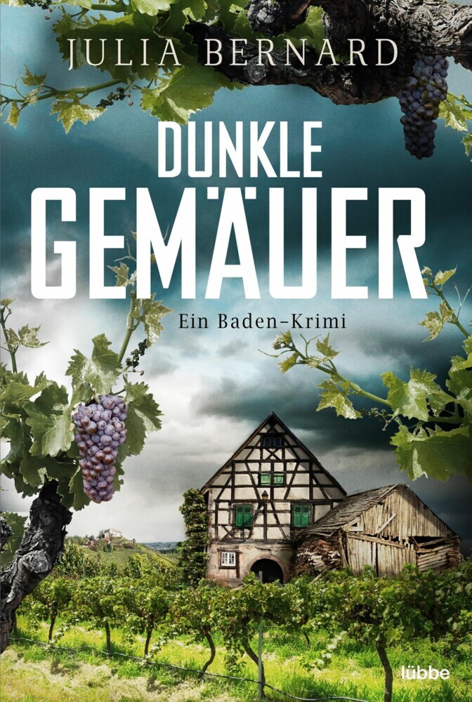 Dunkle Gemäuer main product photo