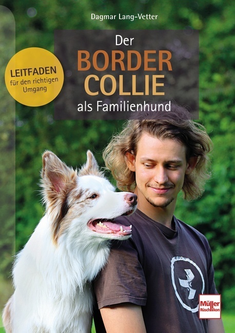 Der Border Collie als Familienhund main product photo