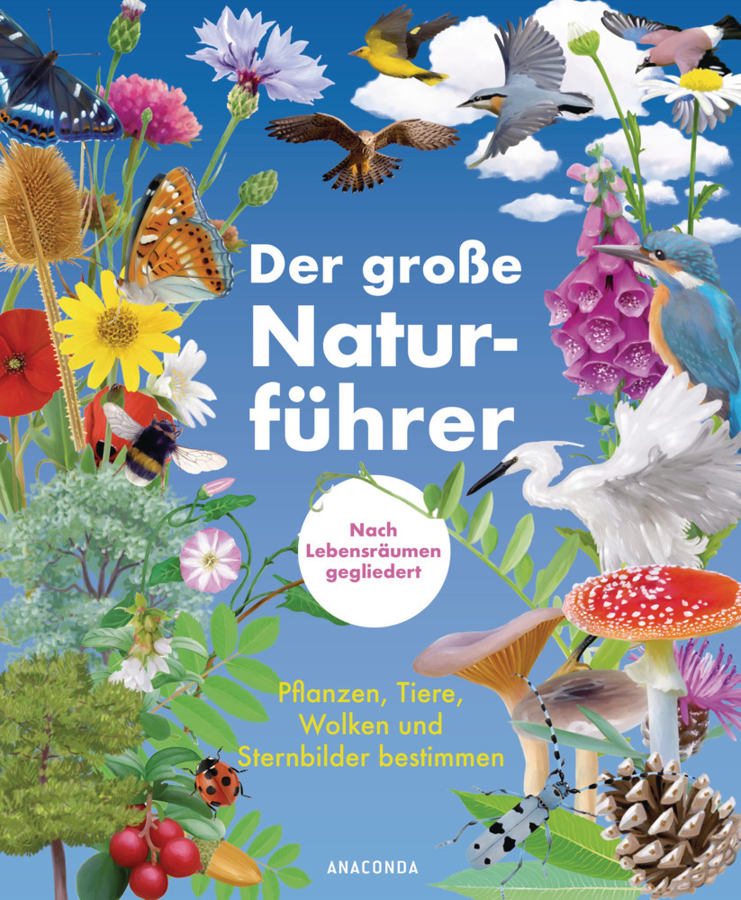 Der große Naturführer. Pflanzen, Tiere, Wolken und Sternbilder bestimmen. Nach Lebensräumen gegliedert main product photo