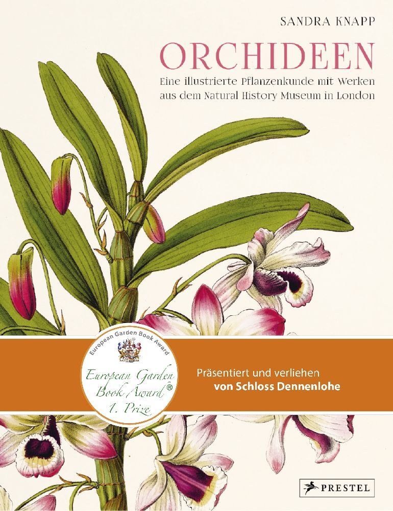 Orchideen main product photo