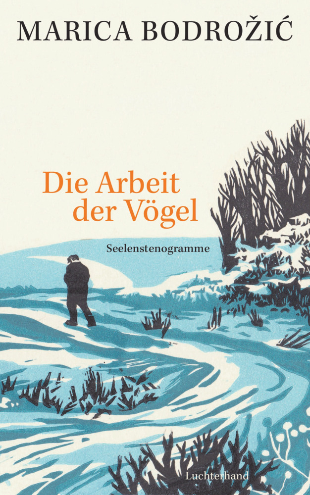 Die Arbeit der Vögel main product photo