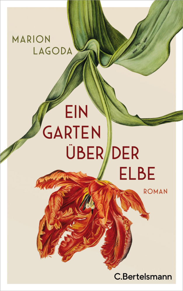 Ein Garten über der Elbe main product photo