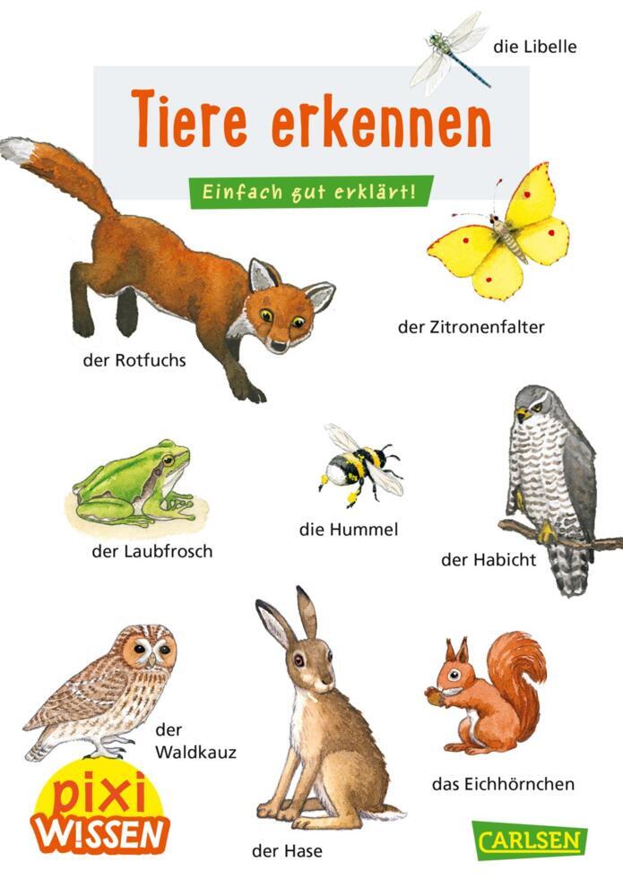 Pixi Wissen 30: Tiere erkennen main product photo