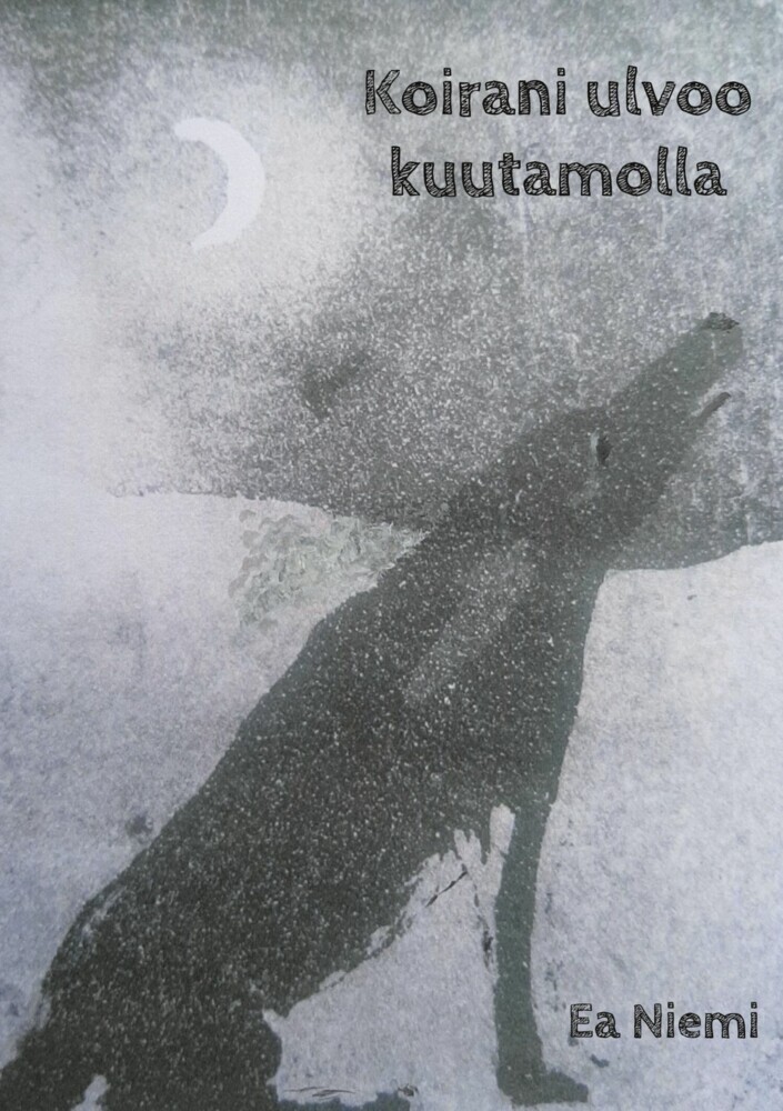 Koirani ulvoo kuutamolla main product photo