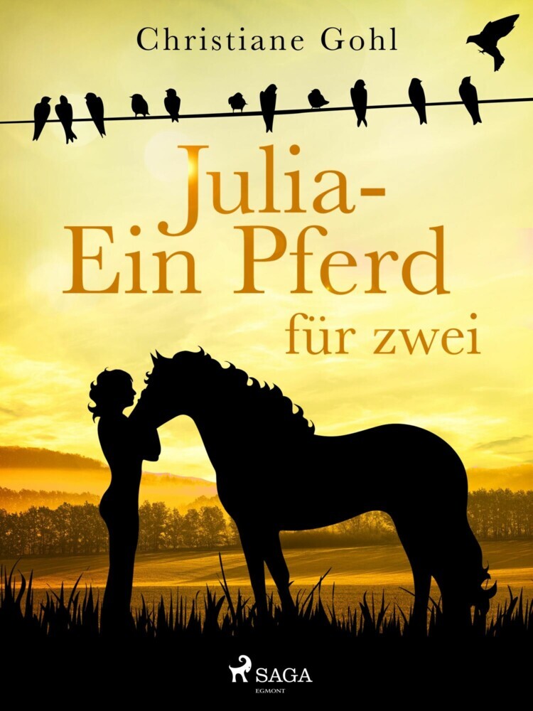 Julia - Ein Pferd für zwei main product photo