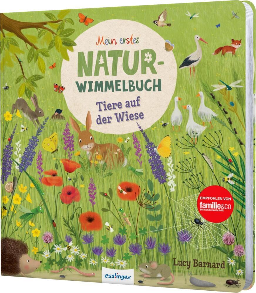 Mein erstes Natur-Wimmelbuch: Tiere auf der Wiese main product photo