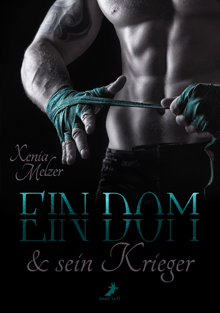 Ein Dom und sein Krieger main product photo