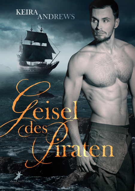 Geisel des Piraten main product photo