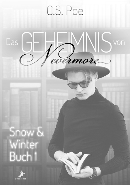 Das Geheimnis von Nevermore main product photo