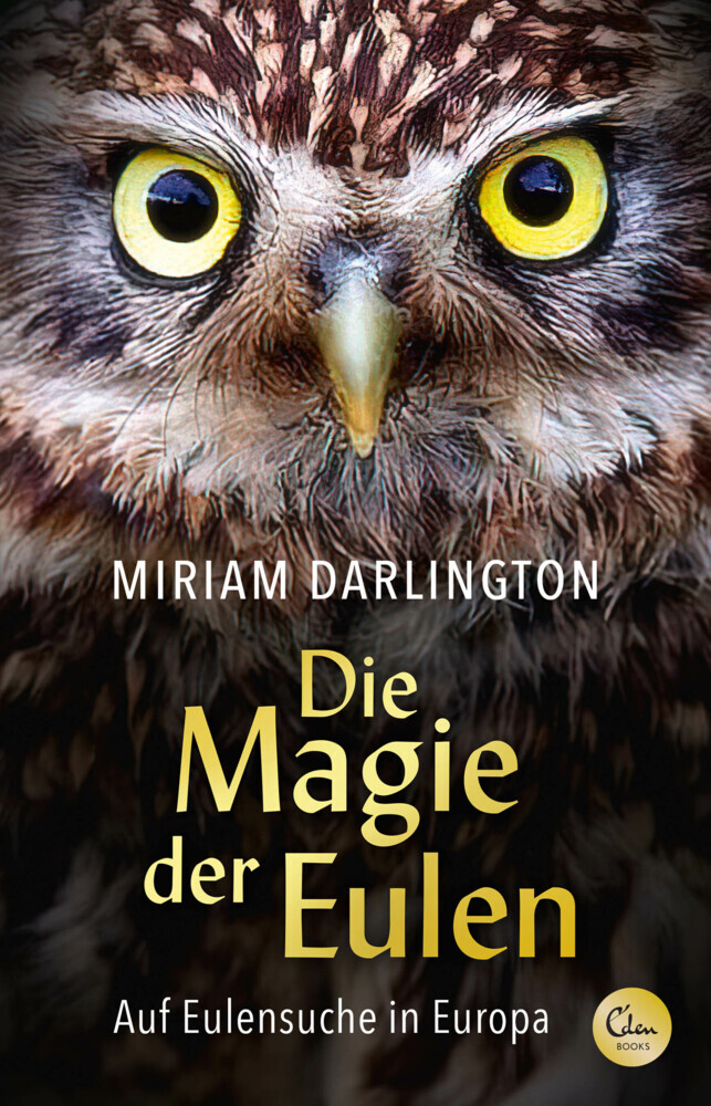 Die Magie der Eulen main product photo