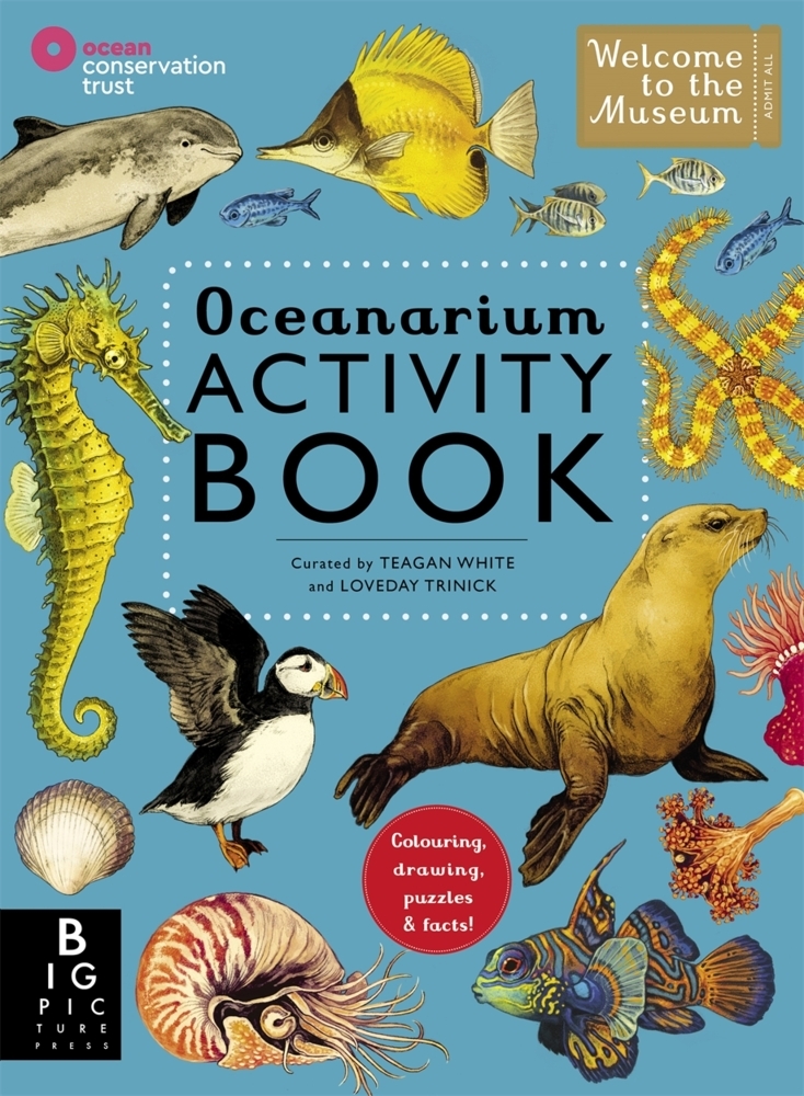 Oceanarium Activity main product photo