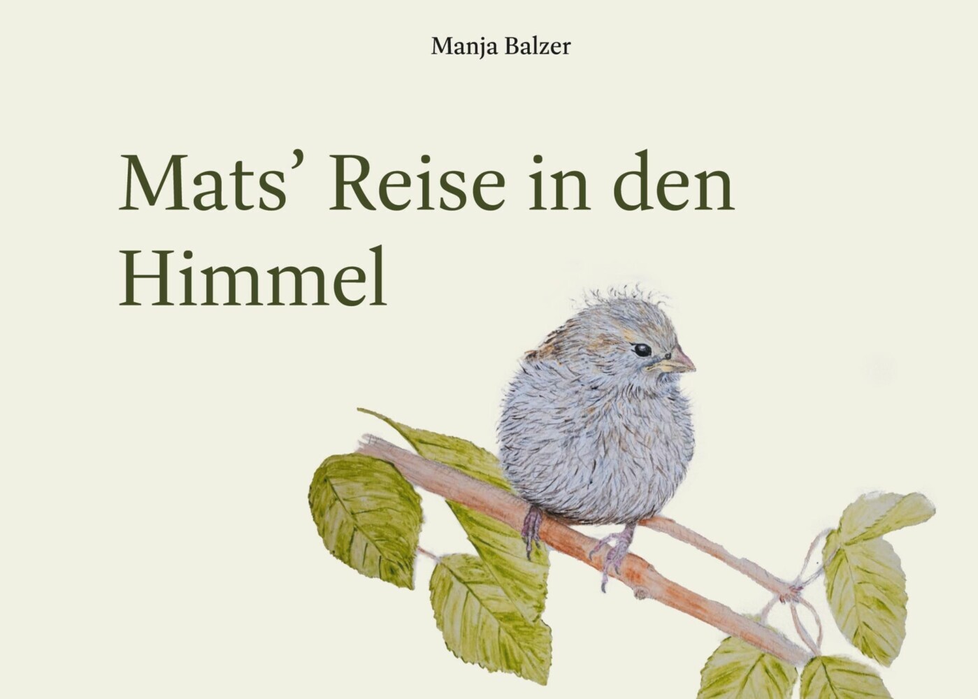 Mats' Reise in den Himmel main product photo