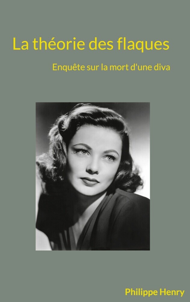 La théorie des flaques main product photo