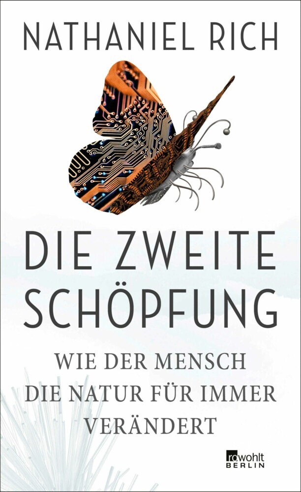 Die zweite Schöpfung main product photo