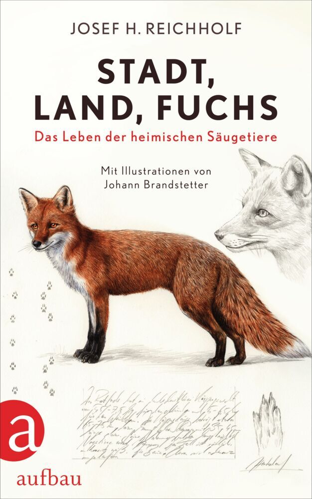 Stadt, Land, Fuchs main product photo