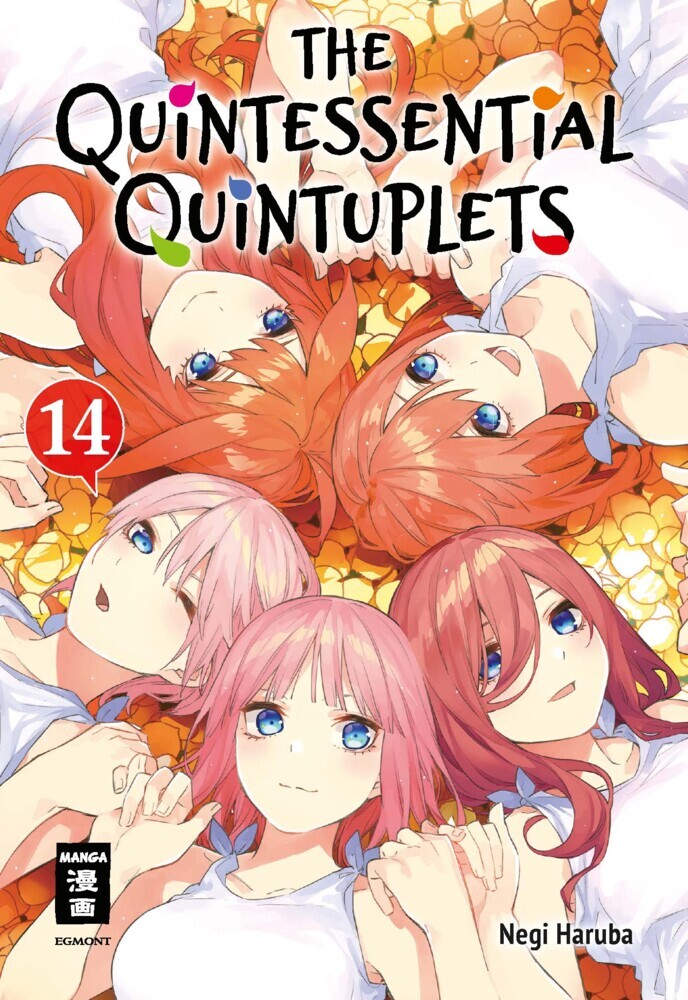 The Quintessential Quintuplets 14 main product photo