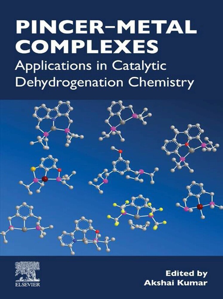Pincer-Metal Complexes main product photo