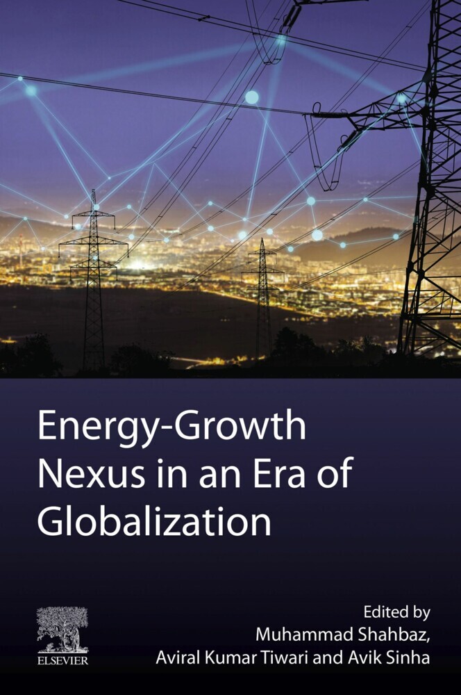 Energy-Growth Nexus in an Era of Globalization main product photo
