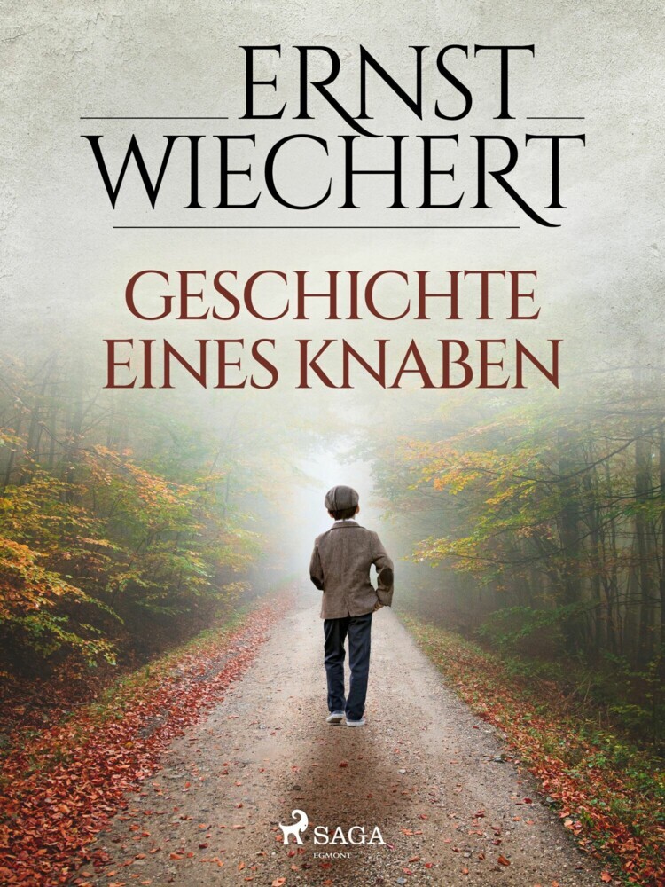 Geschichte eines Knaben main product photo