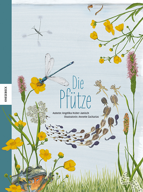 Die Pfütze main product photo
