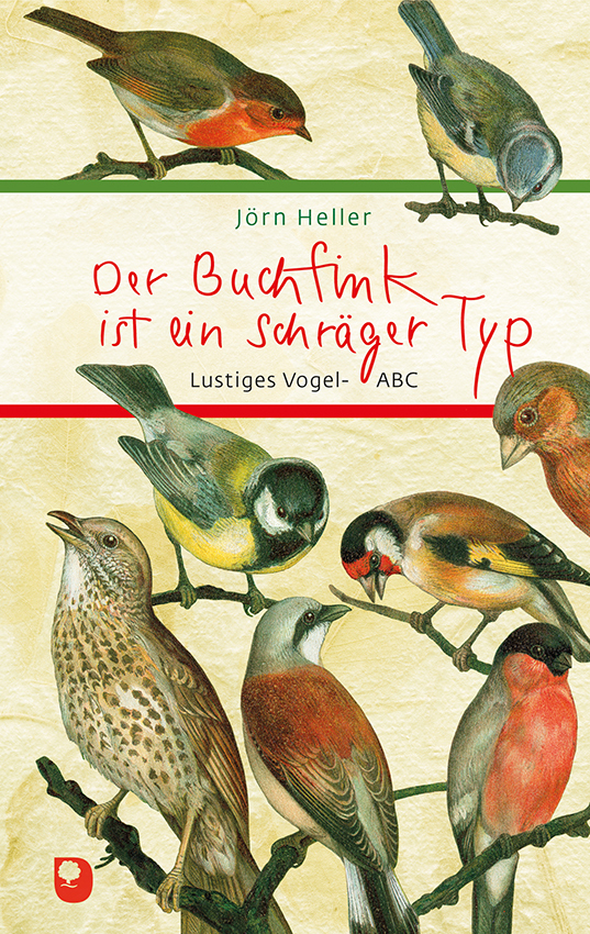 Der Buchfink ist ein schräger Typ main product photo