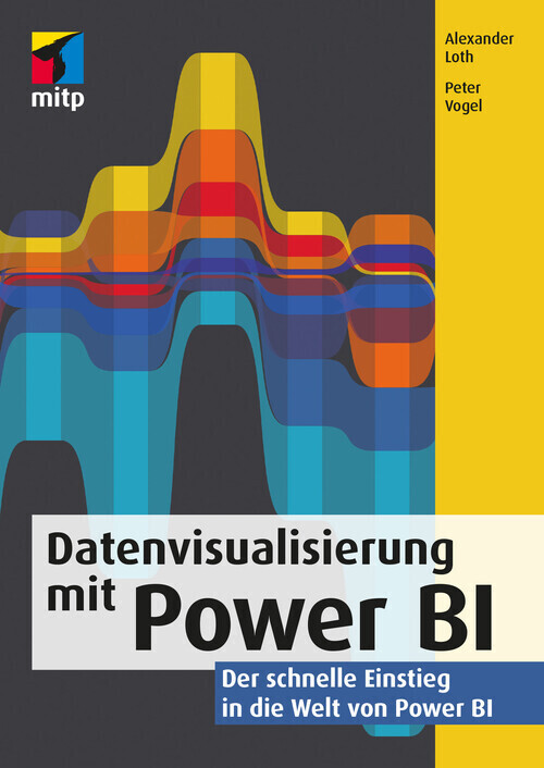 Datenvisualisierung mit Power BI main product photo