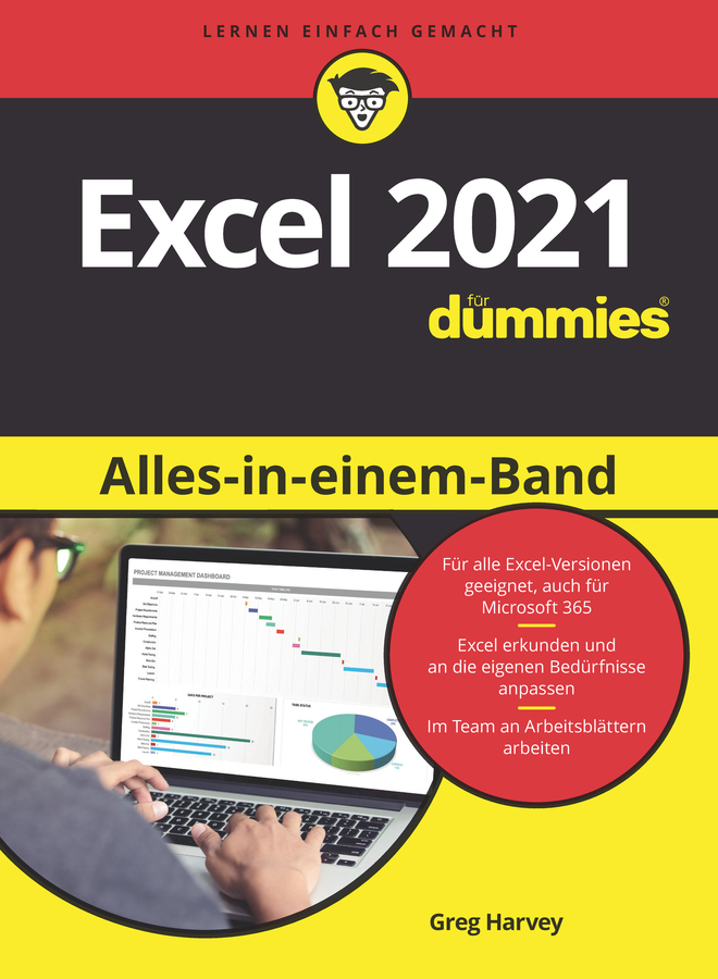 Excel 2021 Alles-in-einem-Band für Dummies main product photo