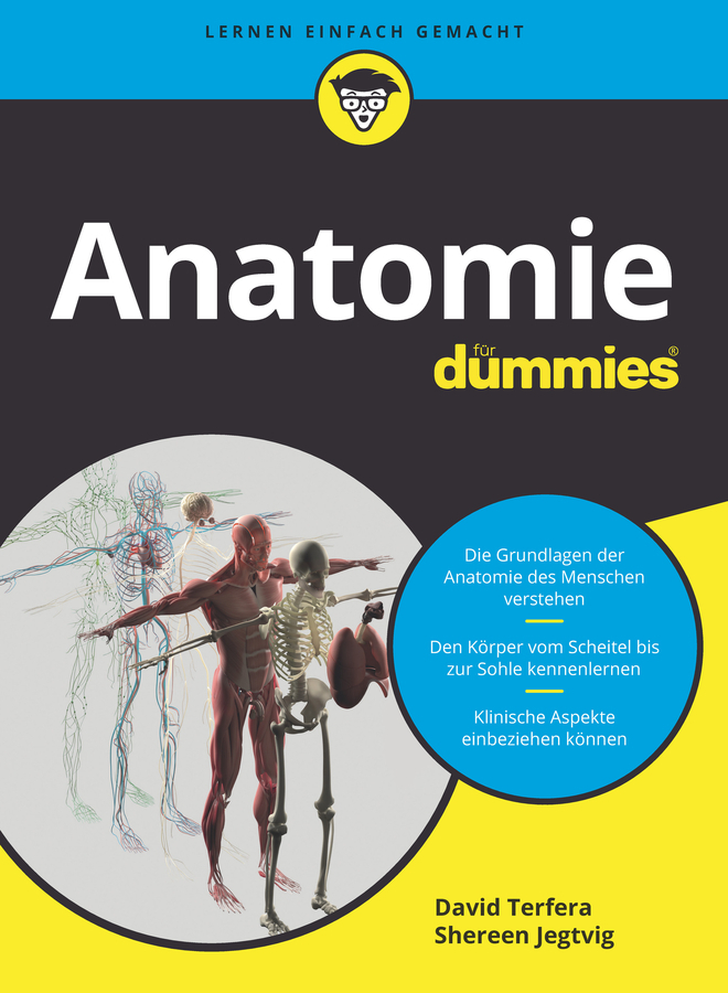 Anatomie für Dummies main product photo