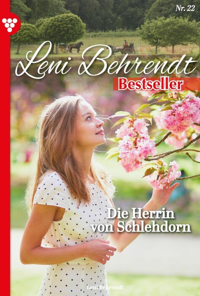 Die Herrin von Schlehdorn main product photo