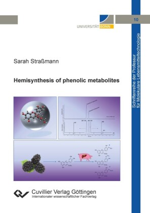 Hemisynthesis of phenolic metabolites