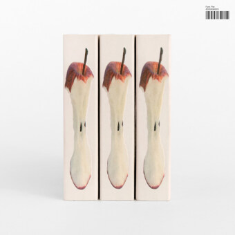 Plex, 1 Audio-CD