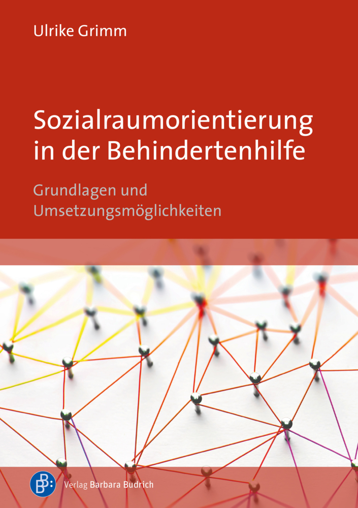 Sozialraumorientierung in der Behindertenhilfe main product photo