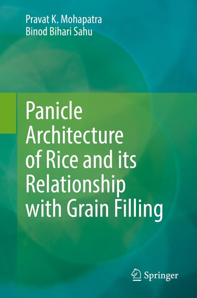 Panicle Architecture of Rice and its Relationship with Grain Filling main product photo