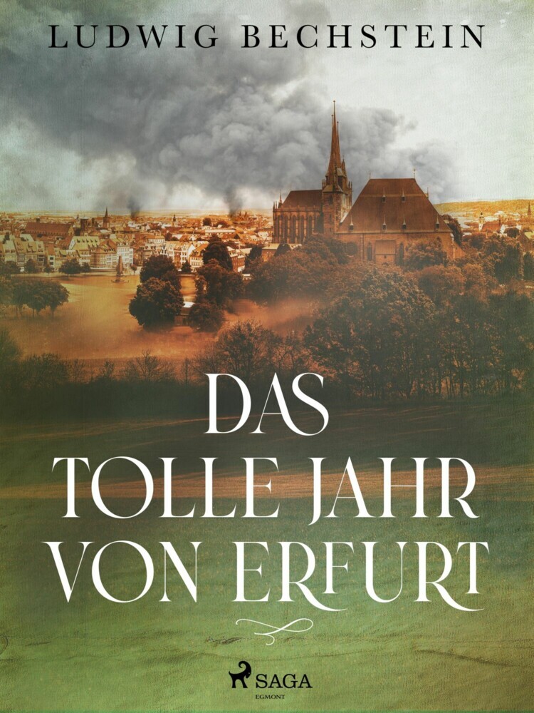 Das tolle Jahr von Erfurt main product photo