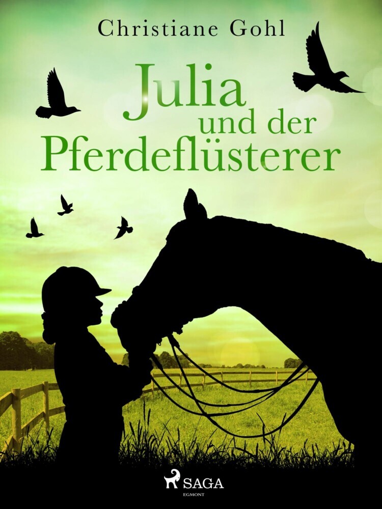 Julia und der Pferdeflüsterer main product photo
