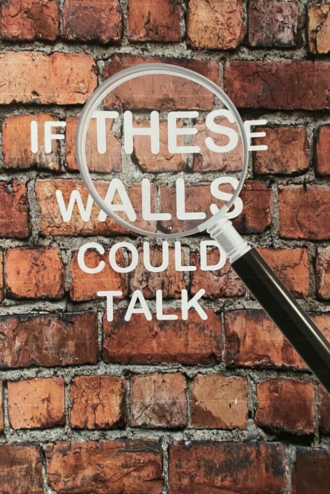 If These walls Could Talk main product photo