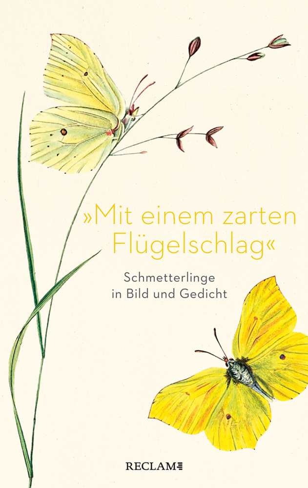 »Mit einem zarten Flügelschlag« main product photo