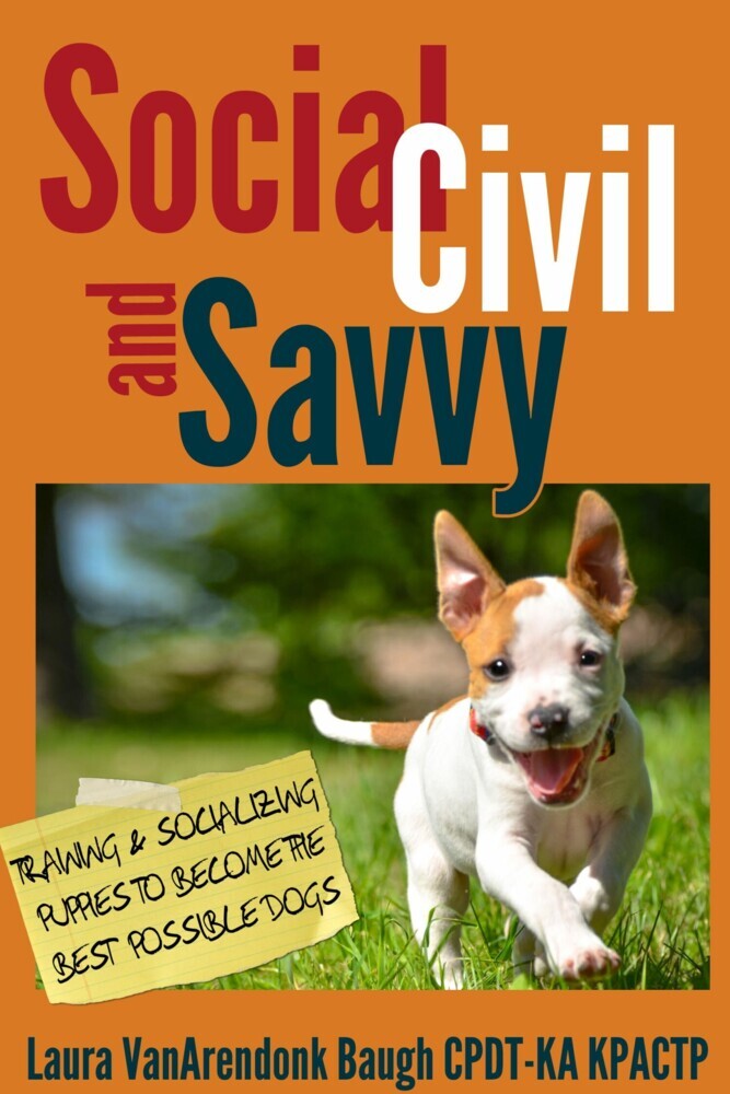 Social, Civil, and Savvy main product photo
