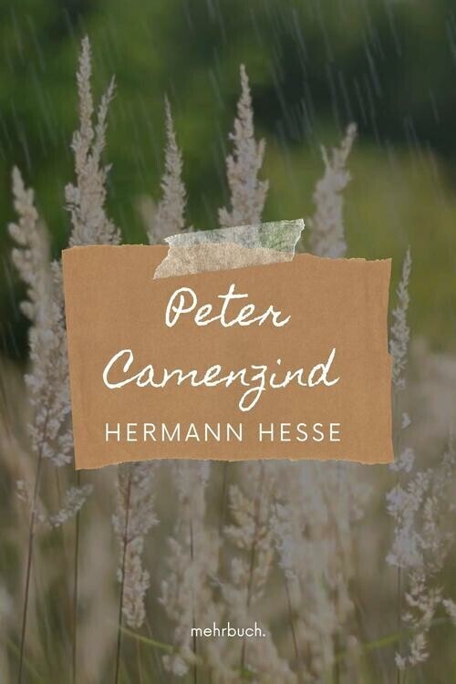 Peter Camenzind main product photo