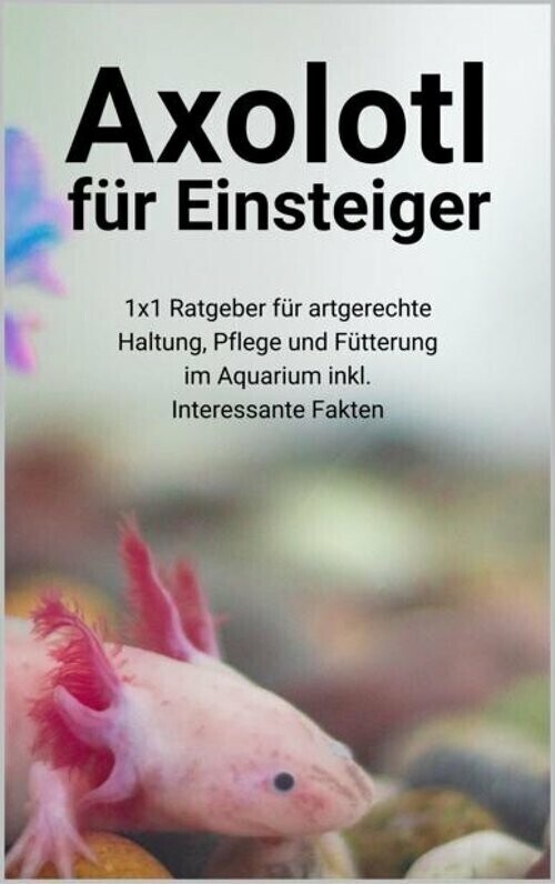 Axolotl für Einsteiger main product photo