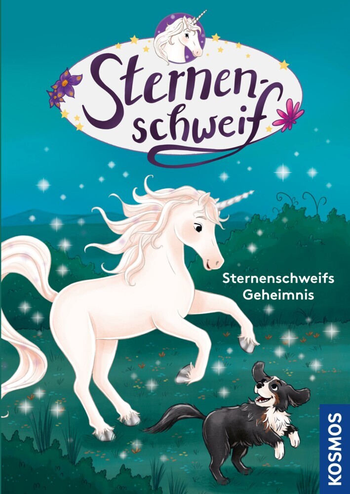 Sternenschweif, Sternenschweifs Geheimnis main product photo