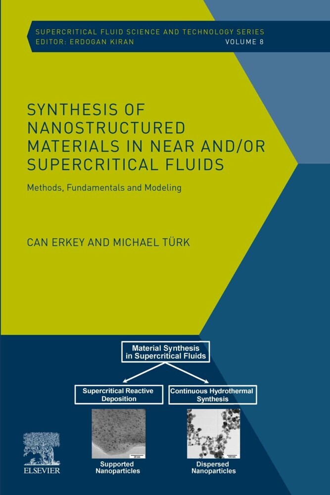 Synthesis of Nanostructured Materials in Near and/or Supercritical Fluids main product photo