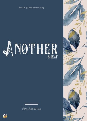 Another Sheaf