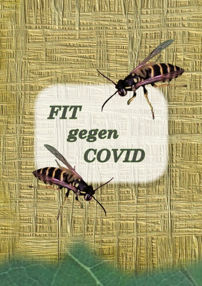 FIT gegen COVID main product photo